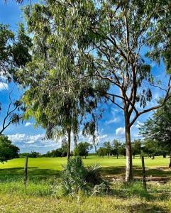 Surubii , Mariano Roque Alonso, Central 00001, Paraguay