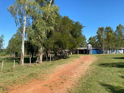 lugar denominado Cocuere , San Lorenzo, Trung Ương 00001, Paraguay