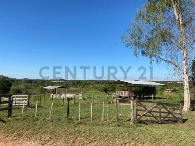 lugar denominado Cocuere , San Lorenzo, Central 00001, Paraguay