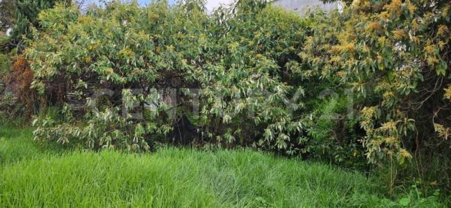 Circuito cantera No.10,, La Magdalena Contreras, Ciudad De México 10330, Mexico