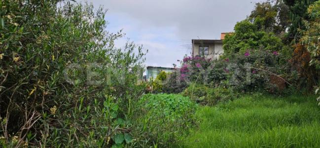 Circuito cantera No.10,, La Magdalena Contreras, Ciudad De México 10330, Mexico