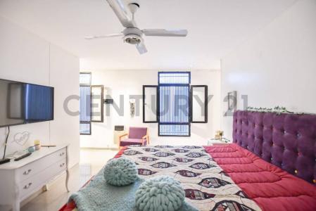 28 entre 504 y 505, La Plata, GBA Sur 00001, Argentina