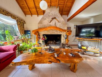 Villa La Angostura, Neuquén 8407, Argentine