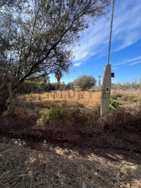 Luján De Cuyo, Mendoza 5509, Argentina