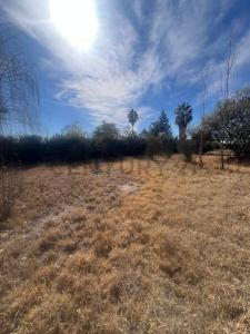 Luján De Cuyo, Mendoza 5509, Argentina