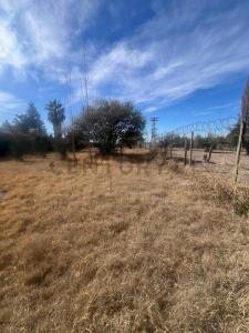 Luján De Cuyo, Mendoza 5509, Argentina