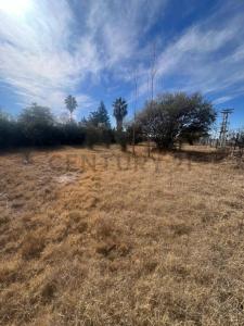 Luján De Cuyo, Mendoza 5509, Argentina