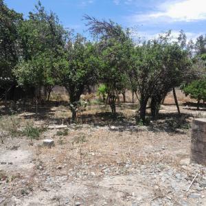 Rio Taquiña S/N, Sur, Cochabamba, Bolivia