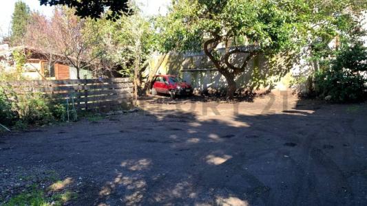 Cautín, Región De La Araucanía 00001, Chile