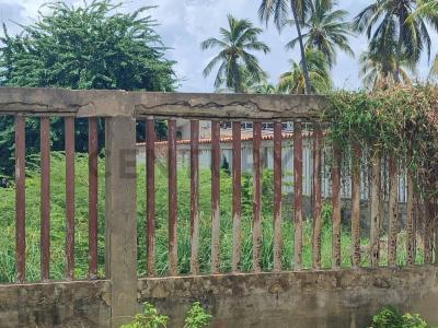 cayo norte Terreno, Chichiriviche, Falcón 2061, Venezuela