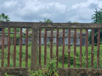 cayo norte Terreno, Chichiriviche, Falcón 2061, Venzuela