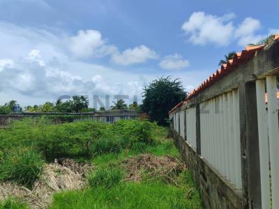 cayo norte Terreno, Chichiriviche, Falcón 2061, Venzuela