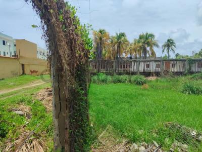 cayo norte Terreno, Chichiriviche, Falcón 2061, Venzuela