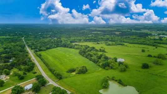 TBD FM 2194, Celeste, Texas 75423, États-Unis