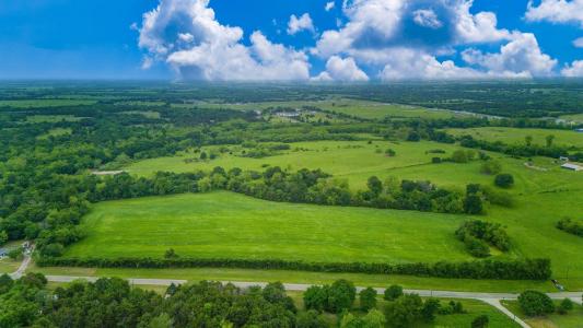 TBD FM 2194, Celeste, Texas 75423, États-Unis