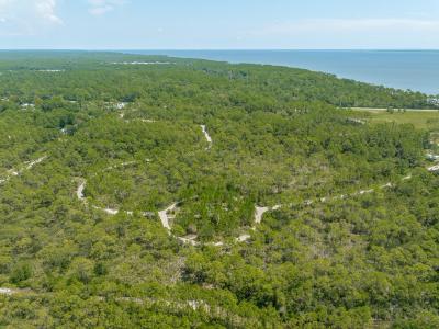 47 Piney Point Ln, Eastpoint, 佛罗里达州 32328, 美国