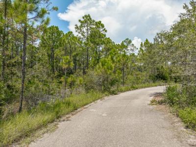 47 Piney Point Ln, Eastpoint, 佛罗里达州 32328, 美国