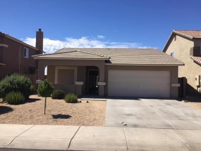 1102 S 242ND Lane, Buckeye, Arizona 85326, Stati Uniti