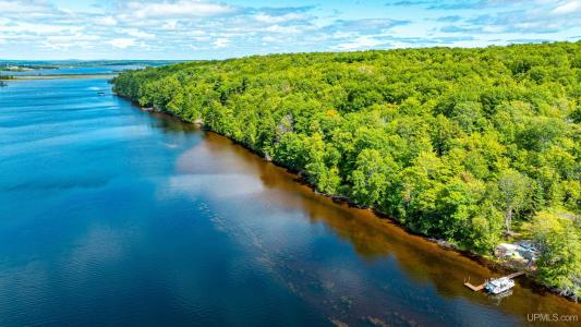 TBD 1 Nightingale, Hancock, 密西根州 49930, 美國