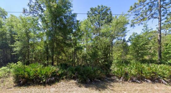 7350 W. Village Dr., Homosassa, فلوريدا 34446, الولايات المتحدة