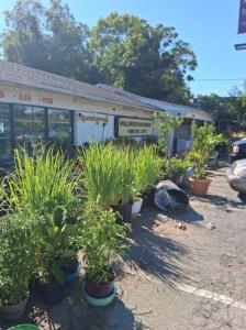 5623 Williamson Road, Roanoke, Virginia 24012