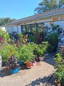 5623 Williamson Road, Roanoke, Virginia 24012