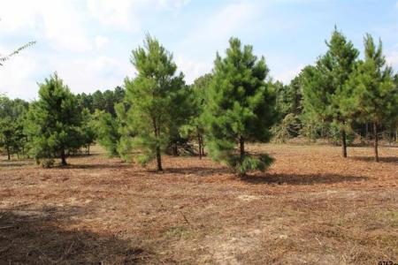 TBD CR 314 - 9.699 acres, Henderson, Teksas 75652, USA