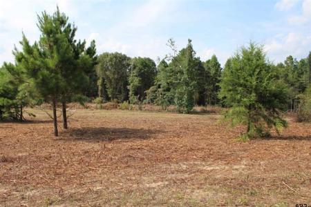 TBD CR 314 - 9.699 acres, Henderson, Teksas 75652, USA