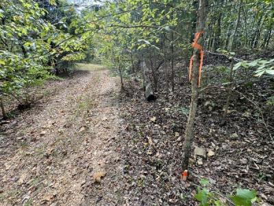 0 Richland Ridge Rd, Waverly, Tennessee 37185, Stati Uniti