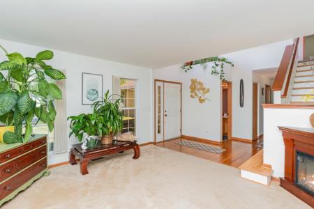 1420 Marigold Lane, Minooka, イリノイ 60447, アメリカ合衆国