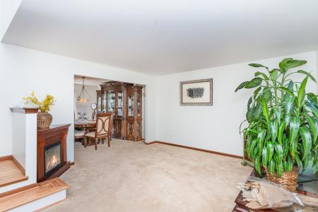 1420 Marigold Lane, Minooka, イリノイ 60447, アメリカ合衆国