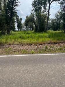 0 Ledoux Road, Iowa, Louisiana 70647, USA