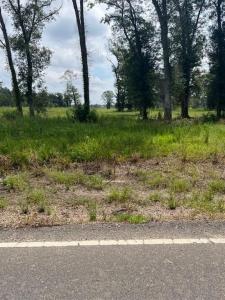 0 Ledoux Road, Iowa, Louisiana 70647, USA