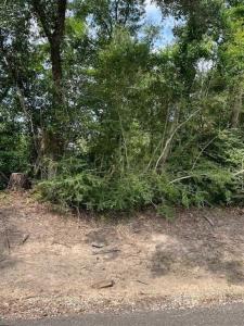 0 Ledoux Road, Iowa, Louisiana 70647, USA