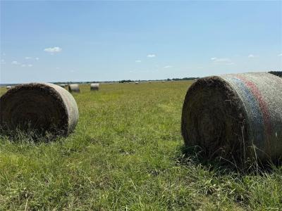 182 Cr, Marlin, テキサス 76661, アメリカ合衆国