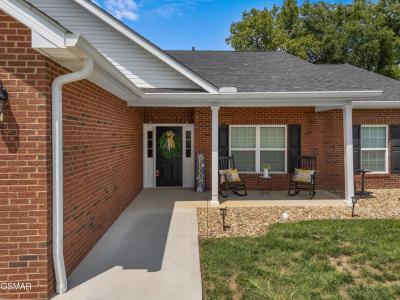 1036 Patriots Landing, Dandridge, Tennessee 37725, Stati Uniti