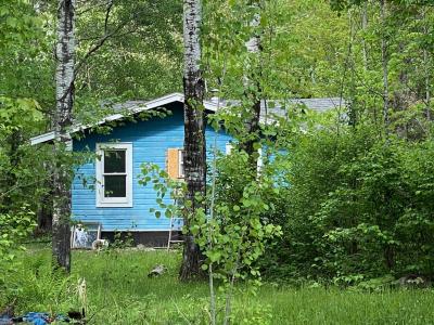 1454 Townline Rd, Brimson, Minnesota 55602, Amerika Birleşik Devletleri