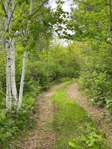 1454 Townline Rd, Brimson, Minnesota 55602, Amerika Birleşik Devletleri