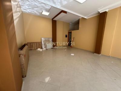 Rruga Barrikadave, Tirana, 알바니아