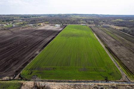 0 COUNTY ROAD 89 ROAD, Innisfil, オンタリオ L0L 1L0, カナダ