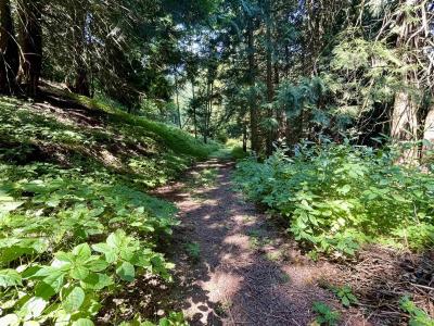 6080 ROSS ROAD, Ryder Lake, British Columbia V2R 4S6, Canada