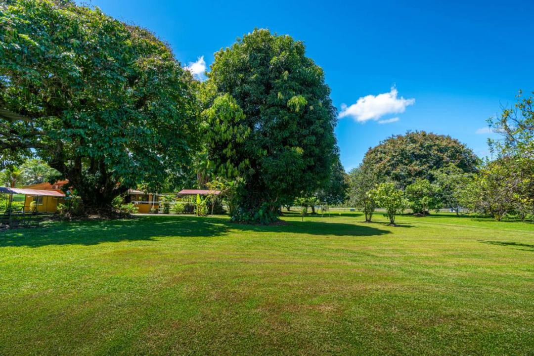 Palmar Sur Osa, Puntarenas 00001, Costa Rica