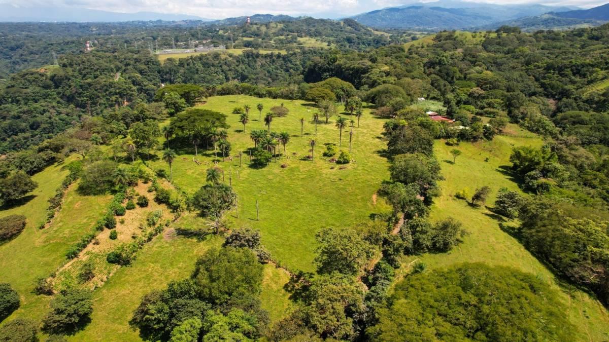 Picagres Mora, San José 00001, Kosta Rika