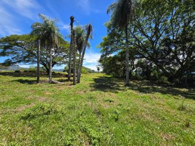 Picagres Mora, San José 00001, Kosta Rika