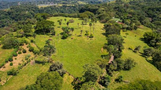 Picagres Mora, San José 00001, Kosta Rika