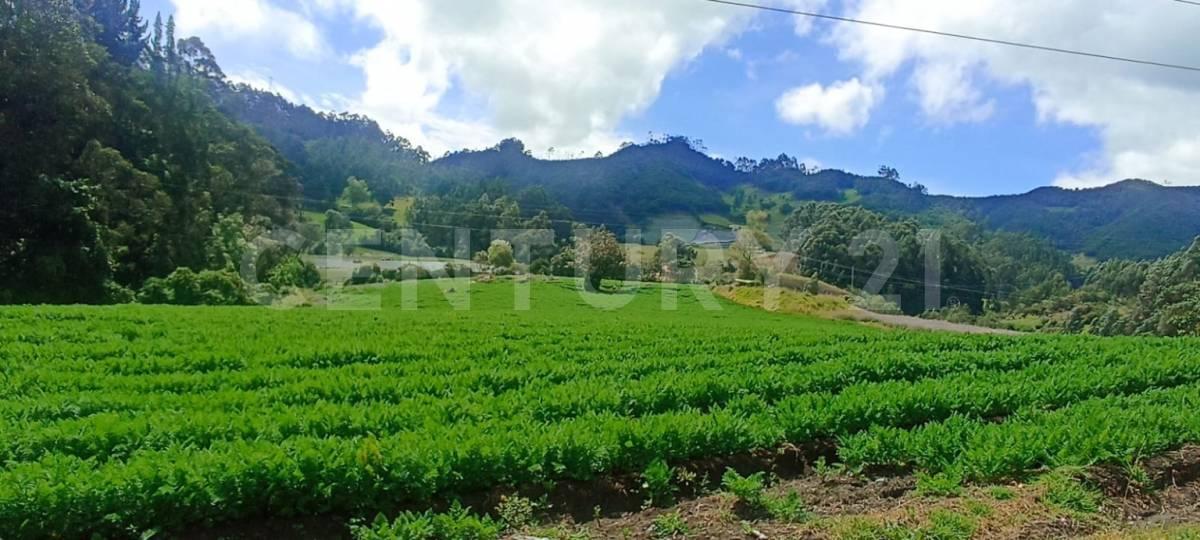 Subachoque, Cundinamarca 00001, Colombia
