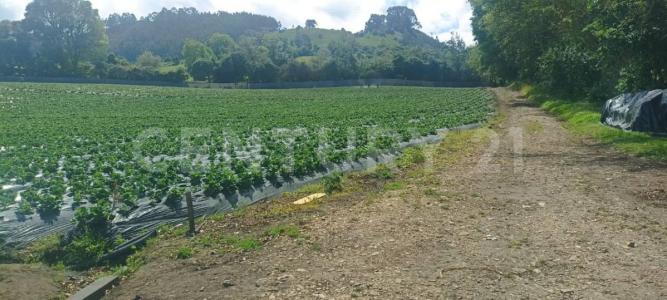 Subachoque, Cundinamarca 00001, Colombia