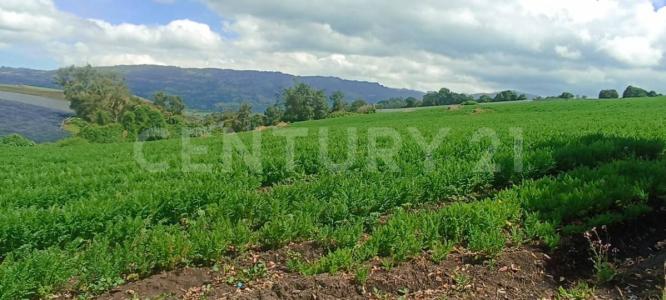 Subachoque, Cundinamarca 00001, Colombia