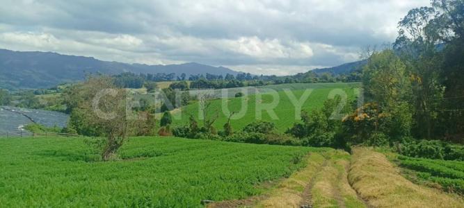 Subachoque, Cundinamarca 00001, Colombia