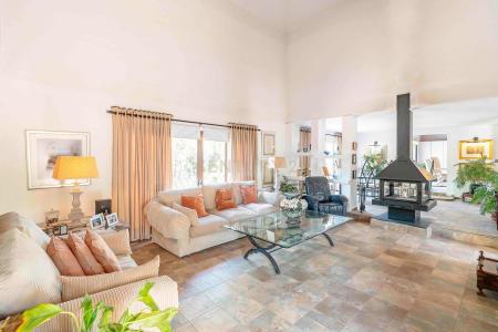 Malaga, Andalucía 29649, Spain